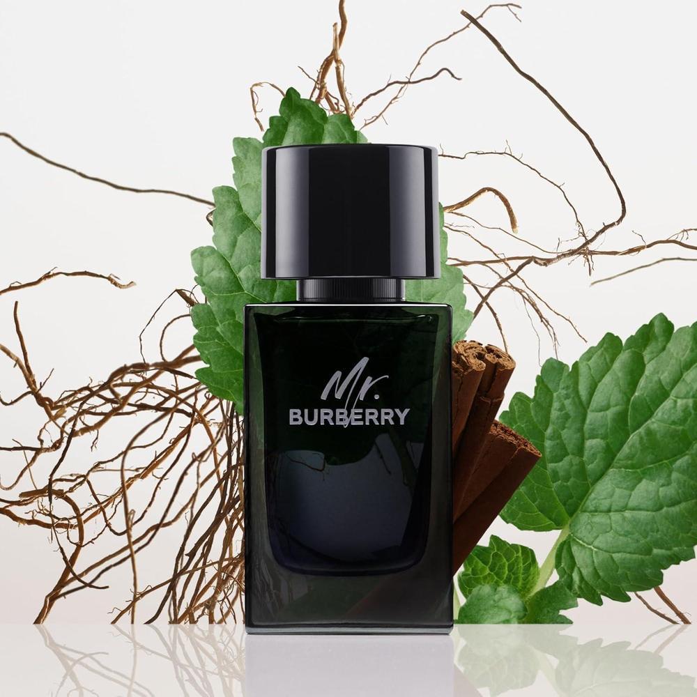 BURBERRY Mr Eau de Parfum - Colonia amaderada aromática masculina con estragón, canela, pachulí y vetiver de larga duración