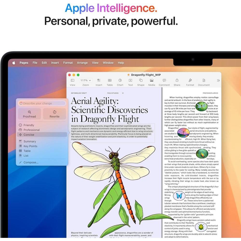Apple MacBook Air 2025 M4 15.3