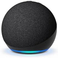 Echo Dot (newest model)