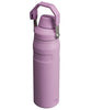 Stanley IceFlow Fast Flow Water Bottle | Angled Spout Lid | Lightweight & Leakproof for Travel & Sports | Insulated Stainless Steel | BPA-Free