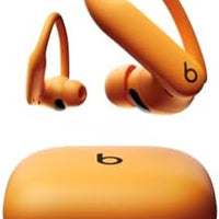 Beats Powerbeats Pro 2