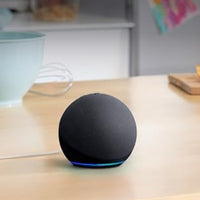 Echo Dot (newest model)
