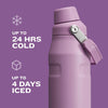 Stanley IceFlow Fast Flow Water Bottle | Angled Spout Lid | Lightweight & Leakproof for Travel & Sports | Insulated Stainless Steel | BPA-Free