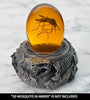 VEOJEIN Jurassic Base Decor | Themed Paperweight | Resin Stand for Dinosaur Collectibles | Detailed Skeletons, DNA Motif & More | Mosquito in Amber | Fossil Figurines Replica
