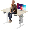 Marsail Electric Standing Desk, 40x24 Inch Adjustable Height Home Office Gaming Desk with 4 Memory Presets, Storage Bag, Stand-Up Desk for Computer Workstations. Headphone Hook,Cable Organizer