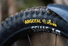 Continental Argotal - Tubeless Ready Mountain Bike Tire - Specialist for Loose Terrain
