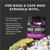 Super Snouts Super Shrooms Mushroom Immune Support Supplement for Dogs and Cats, 5.29 oz - Made in USA Organic Non-GMO, Immune Health, Strong Immunity, 7 Mushroom Blend Powder