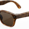 Tortoise / Brown