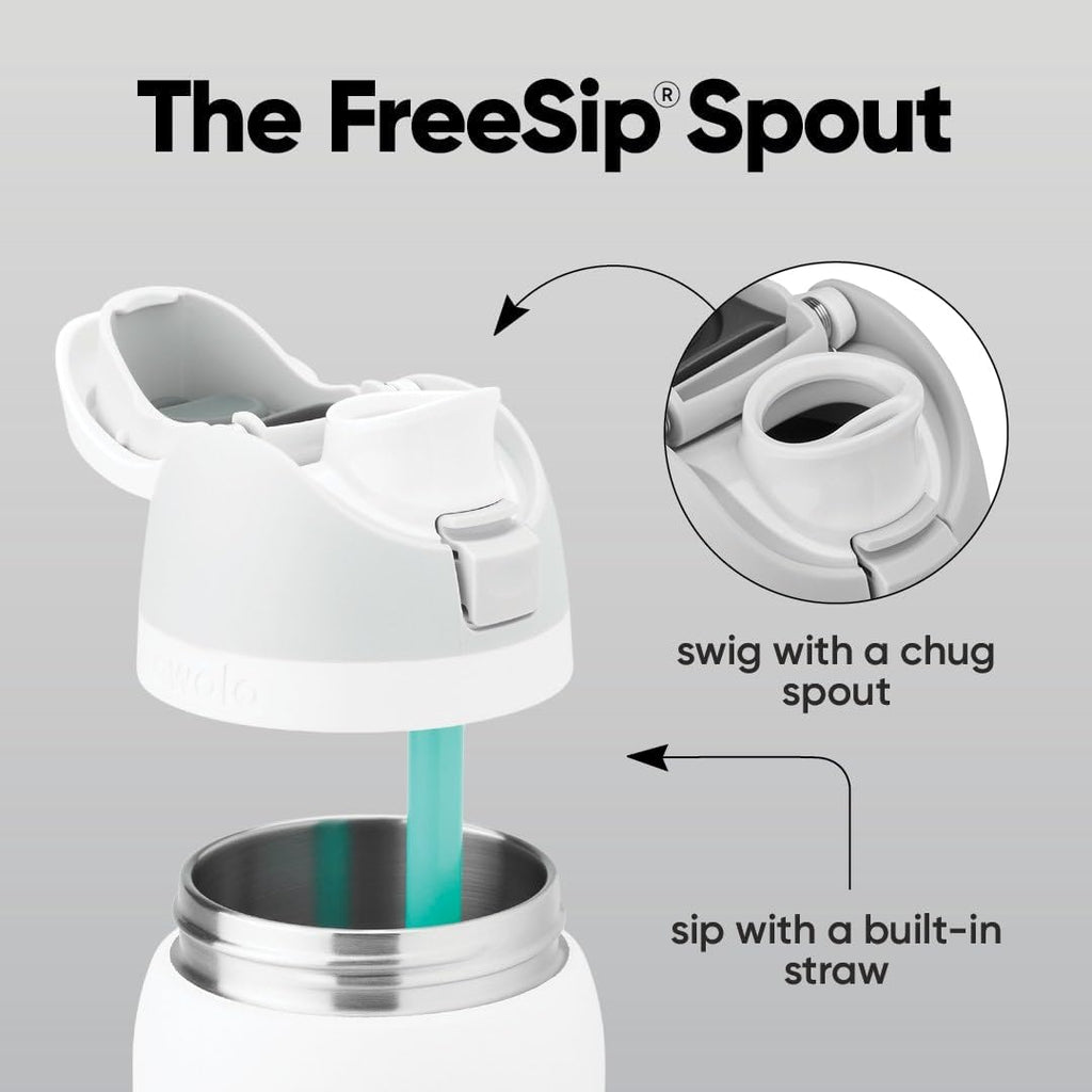 Owala FreeSip Stainless Steel Water Bottle 32 oz Surfs Edge