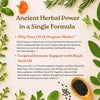 Micro Ingredients Oil of Oregano Softgels, 300 Count | 2 in 1 Formulated with Black Seed Oil, 4X Strength Carvacrol & Thymoquinone | Plant Based, Non-GMO, & Immune Support
