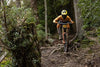 Continental Argotal - Tubeless Ready Mountain Bike Tire - Specialist for Loose Terrain