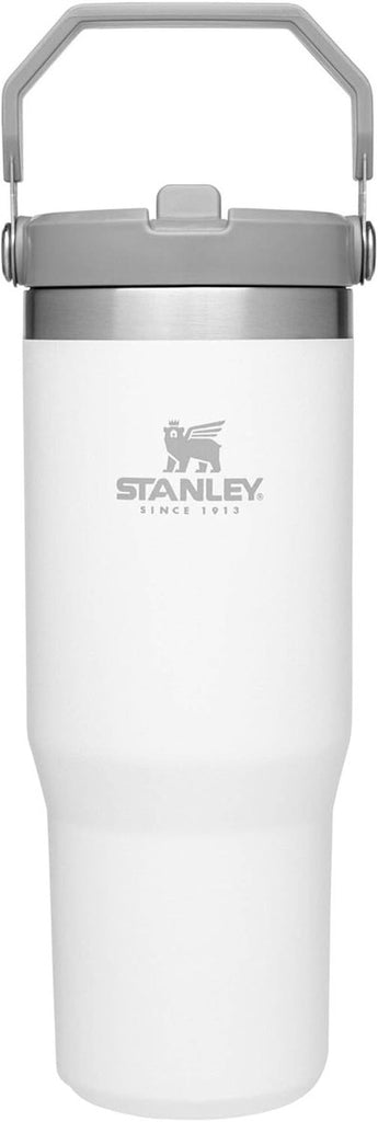 STANLEY IceFlow Flip Straw Tumbler with Handle 30 oz