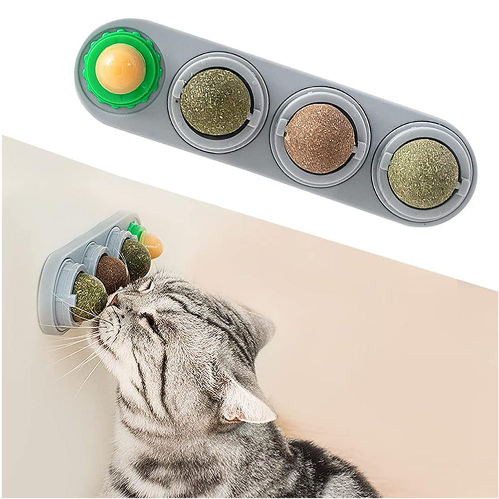 Juguete de 4 Bola con Hierba Gatera Comestibles