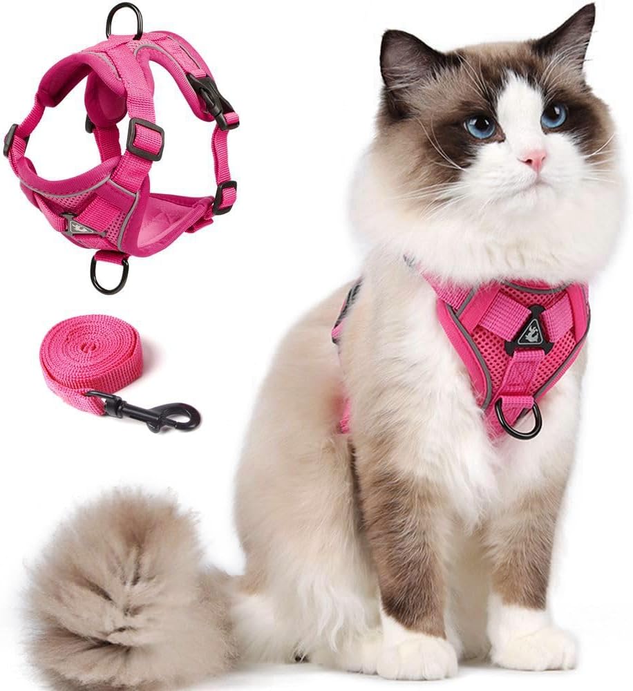 Cat Harness and Leash Set, Upgraded Escape Proof Adjustable Kitten Vest with Lead for Small Cat Outdoor Walking, Soft Br