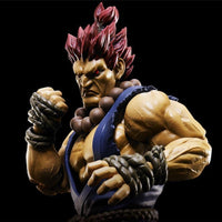TAMASHII NATIONS Bandai S.H. Figuarts Akuma Street Fighter