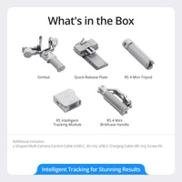 DJI RS 4 Mini Combo