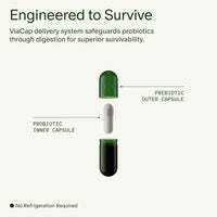 Seed DS-01 Daily Synbiotic – Prebiótico y probiótico para mujeres y hombres – Salud digestiva, salud intestinal, apoyo inmunológico, alivio de la hinchazón y el estreñimiento – Vegano y estable en el