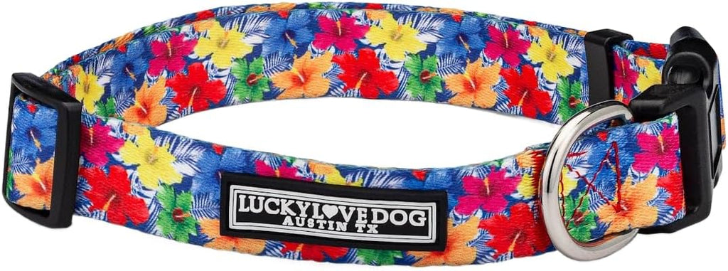 Lucky Love Dog Collar for Small Dogs Cute Adjustable Soft – Hana, Small