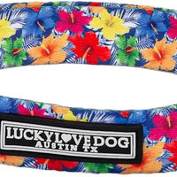 Lucky Love Dog Collar for Small Dogs Cute Adjustable Soft – Hana, Small