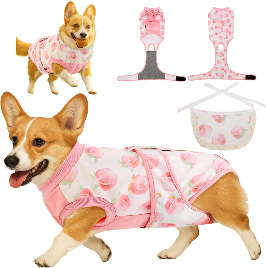 Surgery Recovery Suit for Female Male Dog, Soft Onesie After Spay Neuter, M
