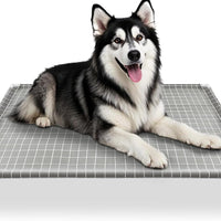 Elevated Dog Bed Pet Cot - Dog Cots Beds, Detachable Raised Cat Pet Bed, XL