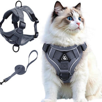 Cat Harness and Leash Set, Upgraded Escape Proof Adjustable Vest with Lead for Large Cat Small Dog Puppy Outdoor Walking