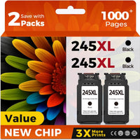Skyink Compatible 245XL Ink Cartridge Replacement for Canon 245 XL PG-245 PG245 (Black 2-Pack) to use with MX490 TR4520