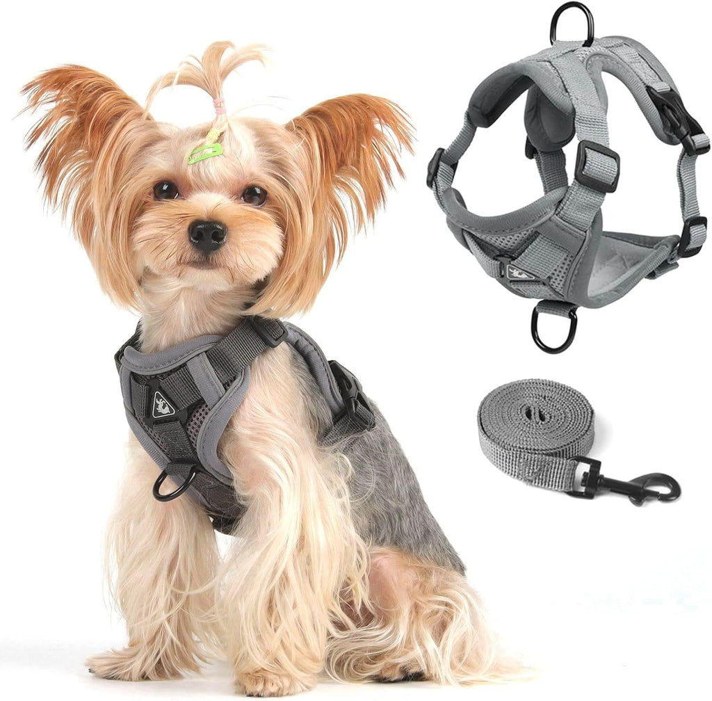 Vest Harness Leash Set for Small Dog Large Cat, Upgraded Escape Proof Adjustable Jacket with Lead for Puppy Fat Cat Outd