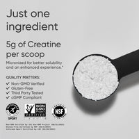 Sports Research Creatine Monohydrate 5g - Polvo para Rendimiento y Recuperación Muscular, 500g