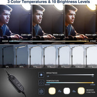 LitONES Zoom Lighting for Computer, Adjustable Desk Ring Light for Video Calls