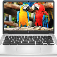 HP Chromebook 14-inch HD Touchscreen Laptop, Intel Celeron N4000, 4 GB RAM, 32 GB eMMC, Chrome (14a-na0080nr, Forest Tea