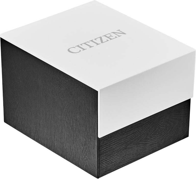 Citizen Men's Eco-Drive Weekender Avion Field Watch