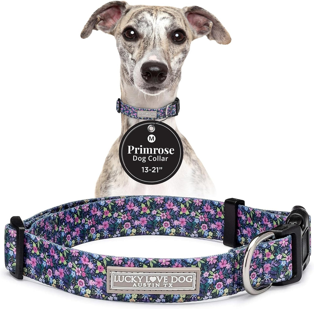 Lucky Love Dog Collar for Medium Dogs Cute Adjustable – Primrose, Medium