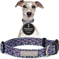 Lucky Love Dog Collar for Medium Dogs Cute Adjustable – Primrose, Medium
