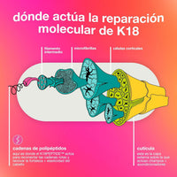 K18 Mascarilla Molecular Capilar Sin Enjuague, Repara el Cabello Seco o Dañado, Revierte el Daño Capilar por Decoloración, Color, Servicios Químicos y Calor