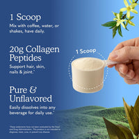 Garden of Life - Péptidos de colágeno en polvo a base de pasto – Polvo de colágeno insípido para mujeres hombres cabello piel uñas articulaciones, suplementos de proteína de colágeno hidrolizado, post