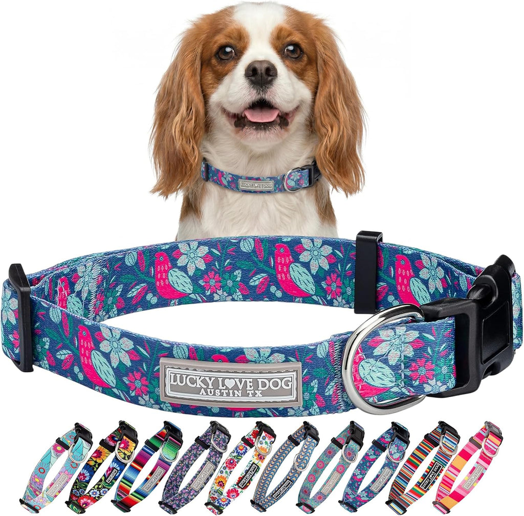 Lucky Love Dog Collar for Small Dogs Cute Adjustable – Carriebelle, Small