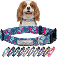 Lucky Love Dog Collar for Small Dogs Cute Adjustable – Carriebelle, Small