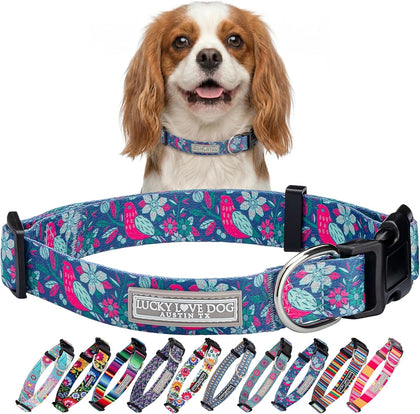 Lucky Love Dog Collar for Small Dogs Cute Adjustable – Carriebelle, Small