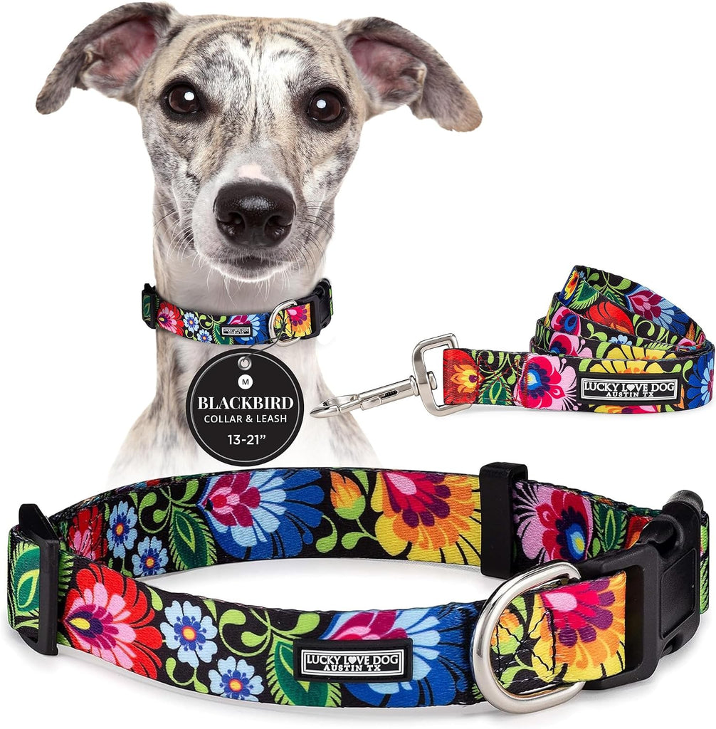 Lucky Love Dog Collar and Leash Set for Medium Dogs – Blackbird, Medium