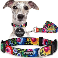 Lucky Love Dog Collar and Leash Set for Medium Dogs – Blackbird, Medium