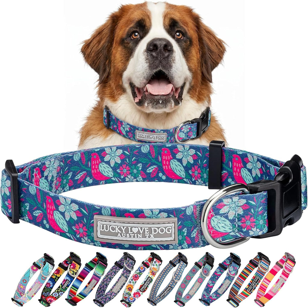 Lucky Love Dog Collar for Extra Large Dogs Cute Soft – Carriebelle, X-Large