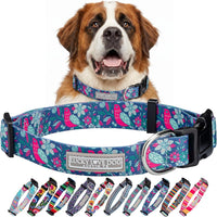 Lucky Love Dog Collar for Extra Large Dogs Cute Soft – Carriebelle, X-Large