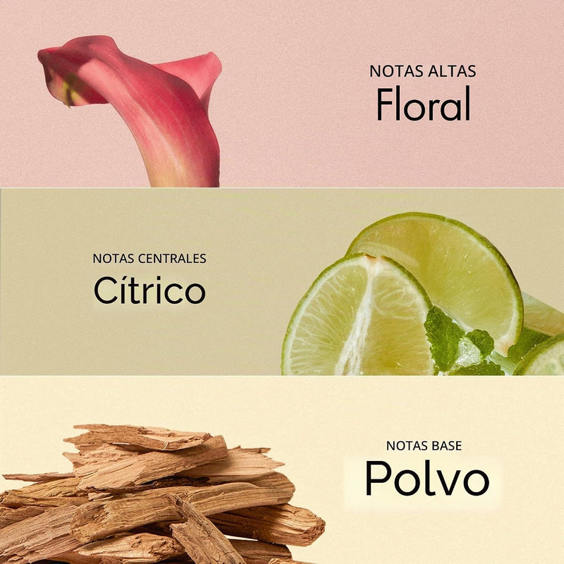 ANILLO Tratamiento Rosy Night de ampollas capilares para cabello dañado – Fórmula de reparación de agua a crema con péptidos y aminoácidos – Control del encrespamiento, seguro para el color, sin silic