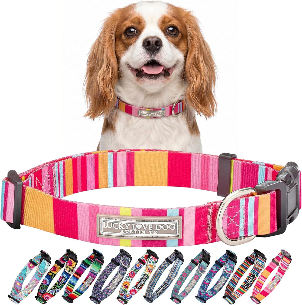Lucky Love Dog Collar for Small Dogs Cute Adjustable Soft – Molly, Small