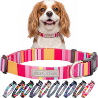 Lucky Love Dog Collar for Small Dogs Cute Adjustable Soft – Molly, Small