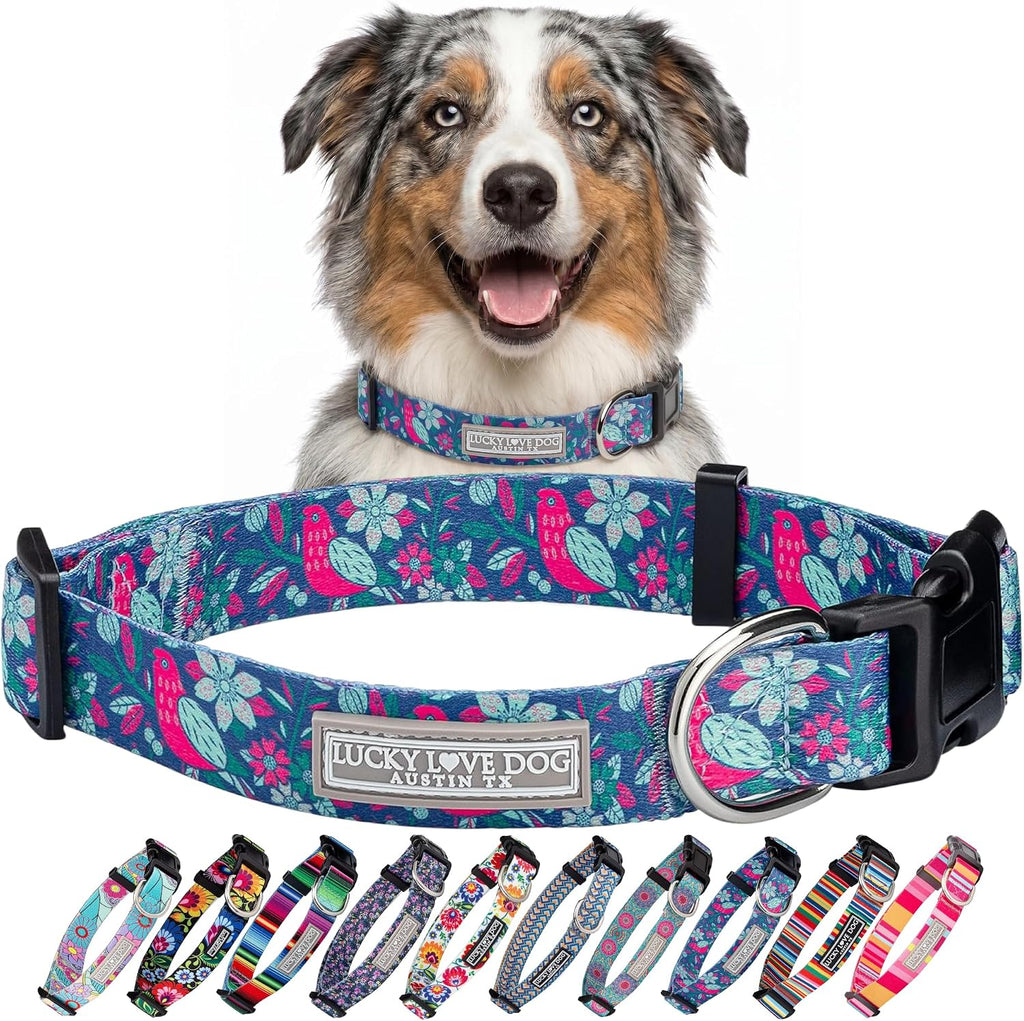 Lucky Love Dog Collar for Medium Dogs Cute Adjustable – Carriebelle, Medium