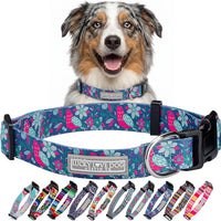 Lucky Love Dog Collar for Medium Dogs Cute Adjustable – Carriebelle, Medium