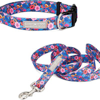 Lucky Love Dog Collar and Leash Set for Extra Large Dogs – Zuzu, X-Large