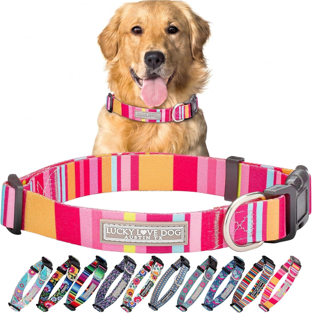 Lucky Love Dog Collar for Large Dogs Cute Adjustable Soft – Molly, Large